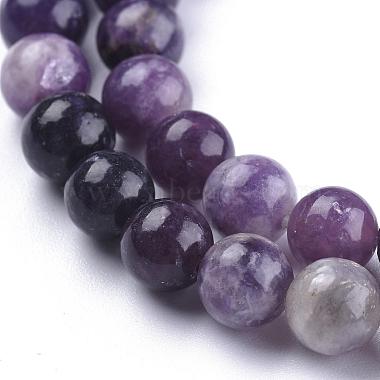 Natural Lepidolite/Purple Mica Stone Beads Strands(G-K415-8mm)-4
