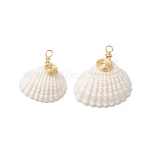 Natural Shell Pendants, Copper Wire Wrapped Shell Shaped Charms, Real 18K Gold Plated, White, 23~27x21~26x8.5~10.5mm, Hole: 2mm(PALLOY-JF03316-03)