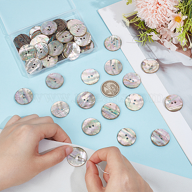 50Pcs 2-Hole Shell Buttons(BUTT-PH0001-87)-3