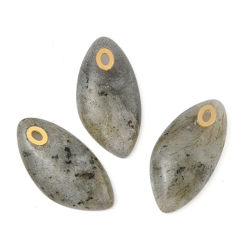 Natural Labradorite Pendants, Leaf Charms with 304 Stainless Steel Findings, PVD Vacuum Plating, Real 18K Gold Plated, 25x12.5x5mm, Hole: 2.5x1mm