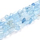 Natural Aquamarine Beads Strands(G-G018-69)-1