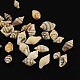 Natural Spiral Shell Beads(SSHEL-R036-16)-1