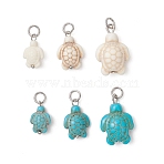 6Pcs 2 Colors Dyed Synthetic Turquoise Pendants, Turtle Charms, with 304 Stainless Steel Findings, Mixed Color, Stainless Steel Color, 15~21x9~14x5~7mm, Jump Ring: 5x1mm, Inner Diameter: 3mm, 3 sizes/color(PALLOY-JF05173-02)