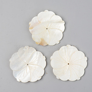 Natural Freshwater Shell Beads, Flower, Seashell Color, 28~30x1.5~2.5mm, Hole: 1.6mm(SSHEL-R048-001)