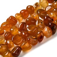 Natural Agate Beads Strands, Dyed & Heated, Nuggets, Tumbled Stone, Dark Orange, 6.5~13x10~13x1.5~11mm, Hole: 1.6mm, about 22pcs/strand, 7.20~7.72''(18.3~19.6cm)(G-H295-B01-09)