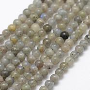Natural Labradorite Beads Strands, Round, 4mm, Hole: 1mm, about 107pcs/strand, 15.1 inch(38.5cm)(G-P322-29-4mm)