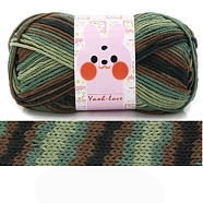 Wool Knitting Yarn, Crochet Yarn, for Sweater Hat Socks Baby Blankets, Segment Dyed, Sea Green, 3.5~4mm, about 185.91 Yards(170m)/Skein(PW-WG92CC4-12)