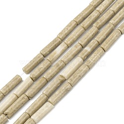 Natural Petrified Wood Beads Strands, Column, 13~14x4mm, Hole: 1.2mm, about 29~30pcs/strand, 15.16''~15.75''(38.5~40cm)(G-F247-49)