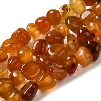 Natural Agate Beads Strands, Dyed & Heated, Nuggets, Tumbled Stone, Dark Orange, 6.5~13x10~13x1.5~11mm, Hole: 1.6mm, about 22pcs/strand, 7.20~7.72''(18.3~19.6cm)