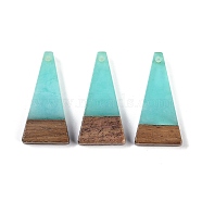 Resin & Wood Pendants, Triangle Charms, Aquamarine, 28.5x14x3.5mm, Hole: 1.6mm(WOOD-F015-03C)