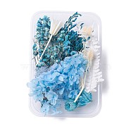 Dried Flowers, DIY Candle Soap Making Accessories, with Plastic Rectangle Box, Sky Blue, 2.4~14.5x1.7~13.1cm(DIY-D052-10)