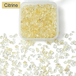 30G Natural Citrine Chip Beads, No Hole/Undrilled, 2~12x2~10x1~3mm(G-YW0001-63)