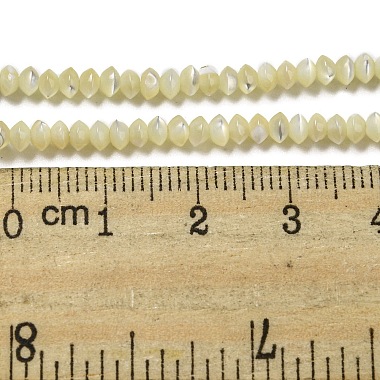 Natural Trochus Shell Rondelle Beads Strands(SSHEL-H072-01A)-4