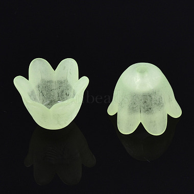 Transparent Acrylic Bead Caps(FACR-N005-002B)-4