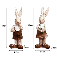 Easter Theme Resin Couple Rabbit Display Decoration, for Home Desktop Decoration, Coconut Brown, 30x47x130mm, 2pcs/set(PW-WG70044-01)