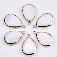 Natural Freshwater Shell Pendants, with Golden Plated Brass Open Back Settings, Teardrop, Seashell Color, 23x15x4mm, Hole: 1.8mm(SSHEL-R045-13)