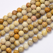 Natural Fossil Coral Beads Strands, Round, 4mm, Hole: 1mm, about 90pcs/strand, 15.7 inch(40cm)(X-G-G697-F01-4mm)
