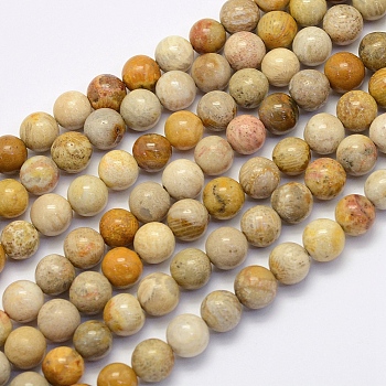 Natural Fossil Coral Beads Strands, Round, 4mm, Hole: 1mm, about 90pcs/strand, 15.7 inch(40cm)