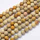 Natural Fossil Coral Beads Strands(X-G-G697-F01-4mm)-1