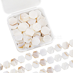 2 Strands Natural Freshwater Shell Beads Strands, Hexagon, Floral White, 16.5~17x15.5~16x3mm, Hole: 0.8mm, about 21pcs/strand, 13.9 inch(SSHEL-SC0001-36D)