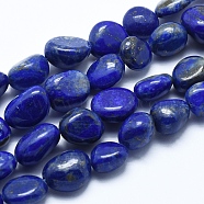 Natural Lapis Lazuli Beads Strands, Tumbled Stone, Nuggets, 6~12mm, Hole: 0.8mm, about 30~35pcs/strand, 15.7 inch(40cm)(G-E483-64)