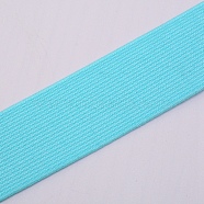 Ultra Wide Thick Flat Elastic Band, Webbing Garment Sewing Accessories, Cyan, 30mm(X1-EC-WH0016-A-S015)