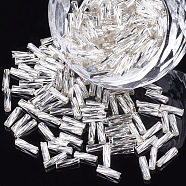 Glass Twist Bugle Beads, Silver Lined, WhiteSmoke, 6~7x1.5~2mm, Hole: 0.8mm, about 450g/bag(SEED-S018-03)