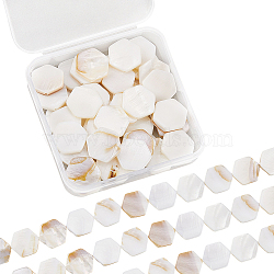 2 Strands Natural Freshwater Shell Beads Strands, Hexagon, Floral White, 16.5~17x15.5~16x3mm, Hole: 0.8mm, about 21pcs/strand, 13.9 inch(SSHEL-SC0001-36D)