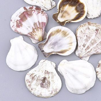 Natural Scallop Shell Beads, Sea Shell Beads, Undrilled/No Hole Beads, Creamy White, 36~43x32~39x7~8mm