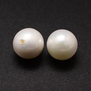 Perles nacrées en coquilles(X-BSHE-L031-01-16mm)-2
