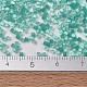 Miyuki Delica Perlen(X-SEED-J020-DB1812)-4