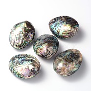 Oval Natural Paua Shell Beads, 50~65x36~40x16.5~20mm, Hole: 1mm(SSHEL-F0008-01)