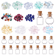 PandaHall Elite Wishing Bottle DIY Making Kits, Including Natural Gemstone Chip Beads, Glass Jar Glass Bottle, Mixed Color, Chip Beads: 60g(DIY-PH0005-48)
