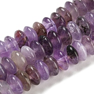 Natural Amethyst Beads Strands, Saucer Beads, Rondelle, 6.5x3mm, Hole: 1mm, about 118~119pcs/strand, 15.35 inch(39cm)(G-Z030-A13-01)