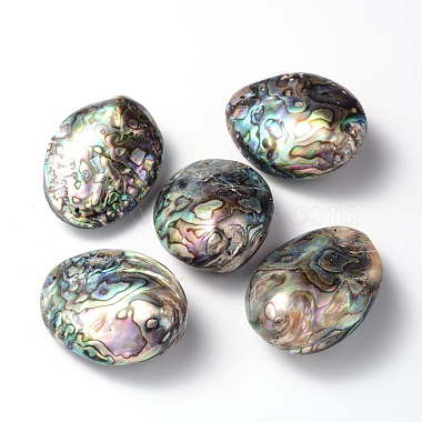 50mm Oval Paua Shell Beads