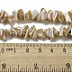 Natural Trochus Shell Beads Strands(SSHEL-H072-09)-4