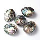 Oval Natural Paua Shell Beads(SSHEL-F0008-01)-1