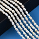 Natural Cultured Freshwater Pearl Beads Strands(PEAR-N012-03C)-6