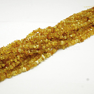 Natural Amber Chip Beads Strands, 4~6x4~6mm, Hole: 1mm, about 15.5 inch(G-E333-01A)