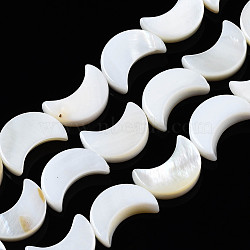 Natural Freshwater Shell Beads Strands, Moon, Seashell Color, 11x8x2~3mm, Hole: 1mm, about 33pcs/strand, 14.92~15.08(37.9~38.3cm)(SHEL-Q024-015B)