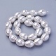 Shell Pearl Beads Strands(BSHE-P030-03D)-1