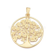 The Tree of Life Rack Plating Alloy Big Pendants, Lead Free & Nickel Free & Cadmium Free, Matte Gold Color, 69x62.5x2mm, Hole: 11.5x7mm(FIND-N005-37G)