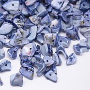 Dyed Natural Freshwater Shell Chips Beads, Shell Shards, Steel Blue, 9~12x6~15mm, Hole: 1mm, about 900pcs/500g(SHEL-A003-E01)