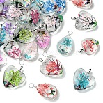 10Pcs Transparent Glass Pendants, Dried Flower inside and Stainless Steel Finding, Teardrop, 33.5x18.5x11mm, Hole: 4.5mm(GLAA-YW0004-20A)