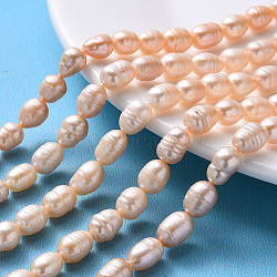 Natural Cultured Freshwater Pearl Beads Strands, Rice, PeachPuff, 7~13x7~8mm, Hole: 0.8mm, about 32~40pcs/strand, 12.99 inch(PEAR-N012-07G)