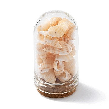Glass Dome Bottle Display Decorations, with Natural Shell Bead Inside and Cork Base, Wheat, 46~48x25mm