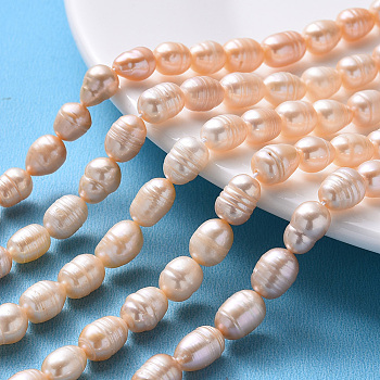 Natural Cultured Freshwater Pearl Beads Strands, Rice, PeachPuff, 7~13x7~8mm, Hole: 0.8mm, about 32~40pcs/strand, 12.99 inch