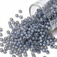 TOHO Round Seed Beads, Japanese Seed Beads, (PF2102) PermaFinish Sapphire Opal Silver Lined, 8/0, 3mm, Hole: 1mm, about 222pcs/bottle, 10g/bottle(SEED-JPTR08-PF2102)
