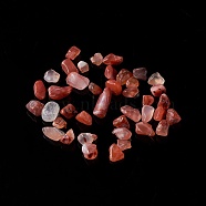 Natural Carnelian Chip Beads, No Hole/Undrilled, Dyed & Heated, 5~10.5x5~7x2~4mm, about 3000pcs/1000g(G-O103-18A)
