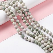 Natural Peace Jade Beads Strands, Round, 8mm, Hole: 1.2mm, about 46pcs/strand, 14.96 inch(38cm)(X-G-G905-07)